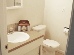 riverview-bathroom2