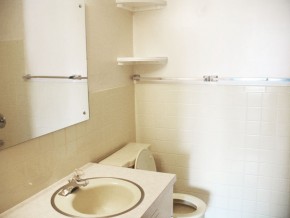 sheffield-bathroom sheffield-bathroom
