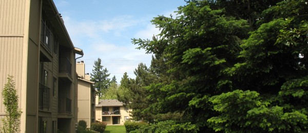 Perfect Apts Creek Cross photos taken last month