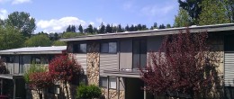 1 Bed/1 Bath Apartment Des Moines, WA – Villa Des Moines